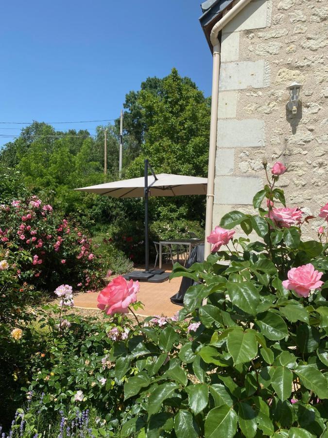 Gite De La Cale De La Clauderie Rigny-Ussé Buitenkant foto